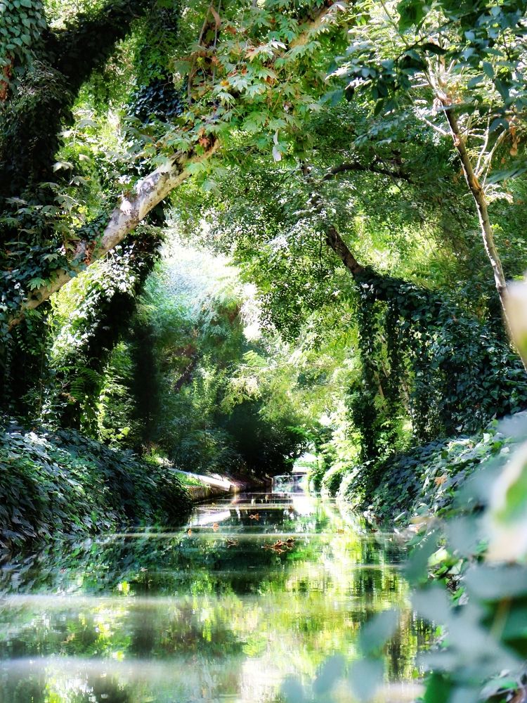 Photograph by Hossein Balouchestani asl