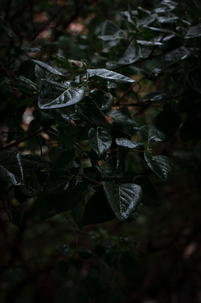 Photograph by Олеся Лагутина