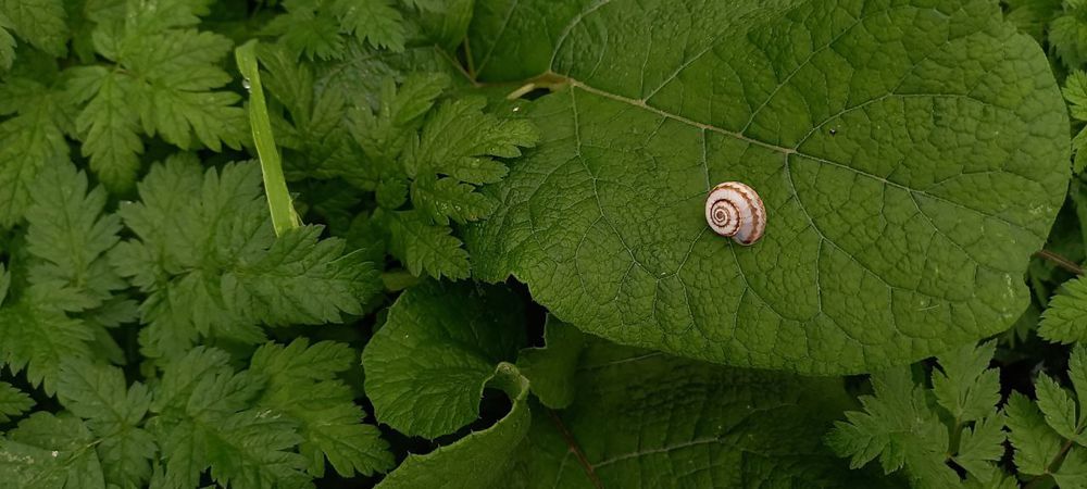 Photograph by Нигяр Бабаева