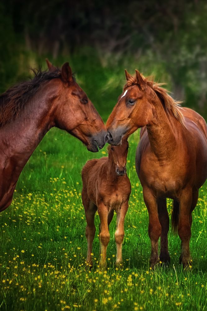Photograph by Вероника Романенко