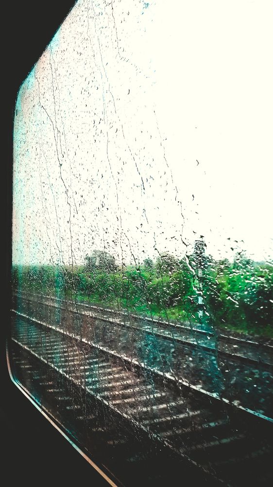 Photo #7971575