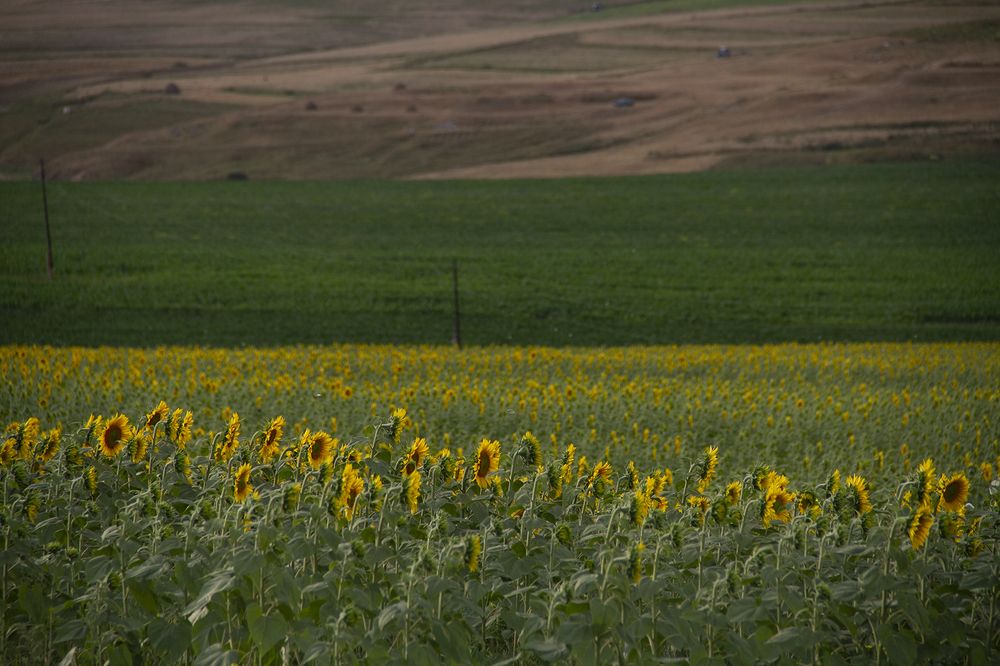 Photograph by Нигяр Бабаева