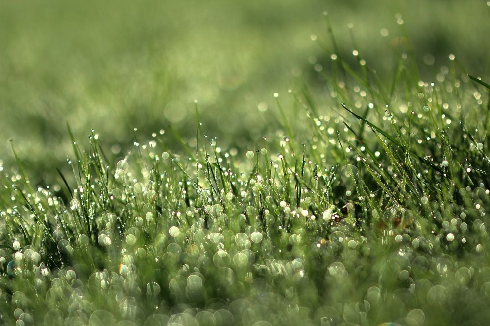 Photograph by Татьяна