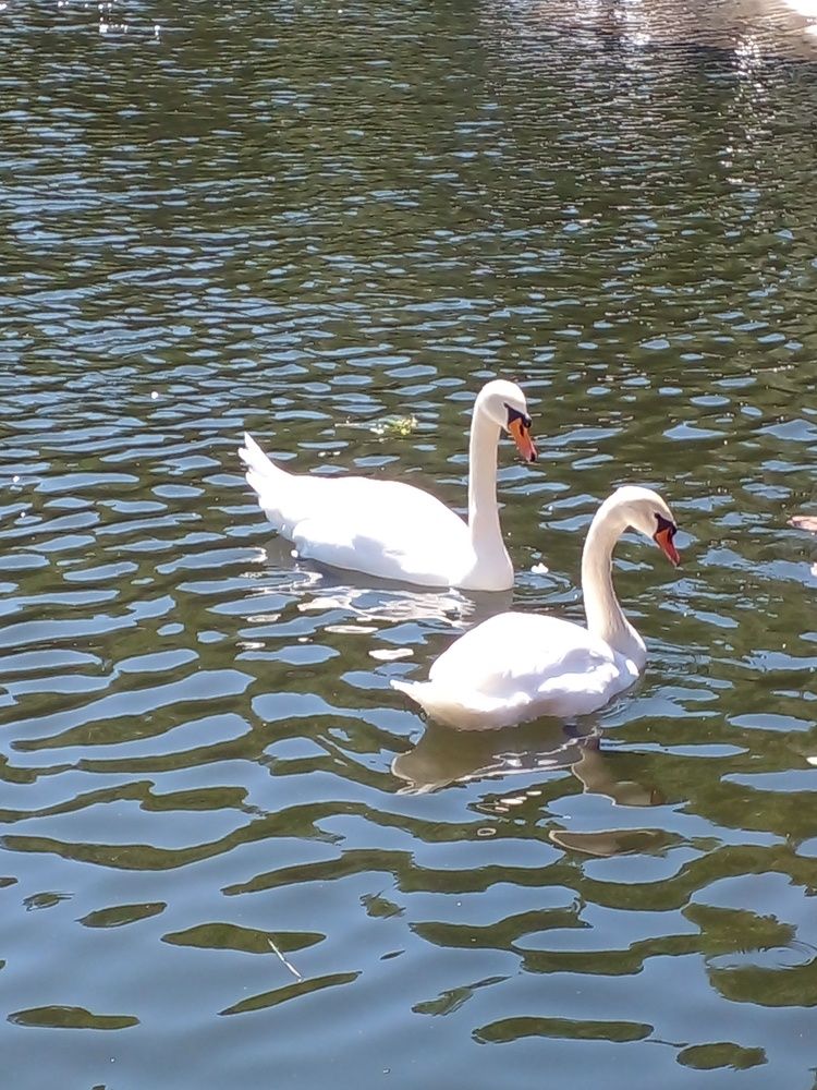 Байкальский отдых