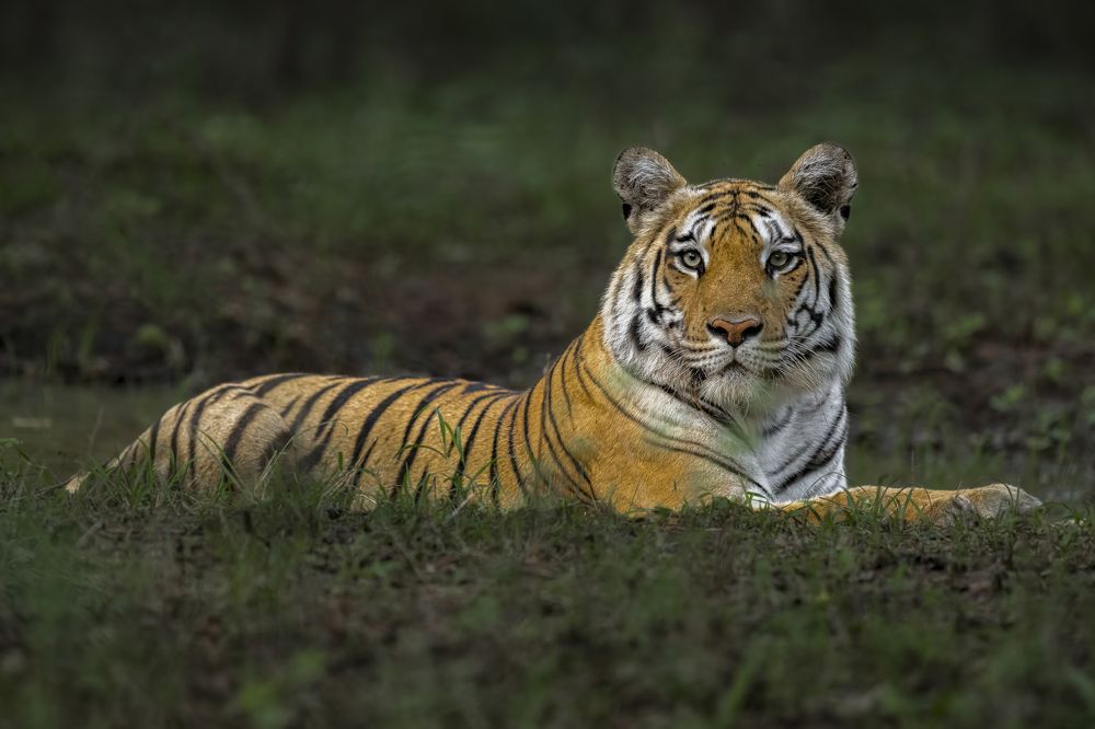 Photograph by Jitender Govindani