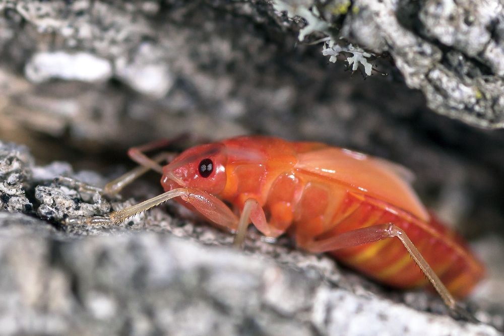 Photograph by Виктор Степанов