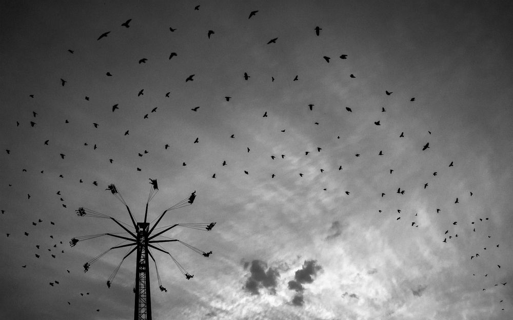 Фотография автора arastoo qadermazi