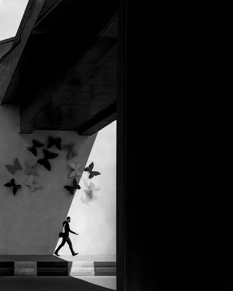 Фотография автора arastoo qadermazi