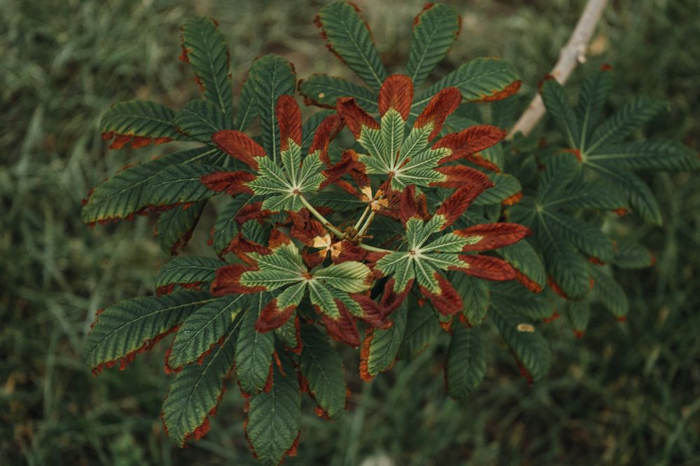 Photograph by Анастасия Ивахнова