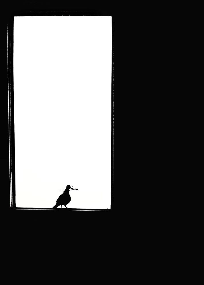 Photograph by sana