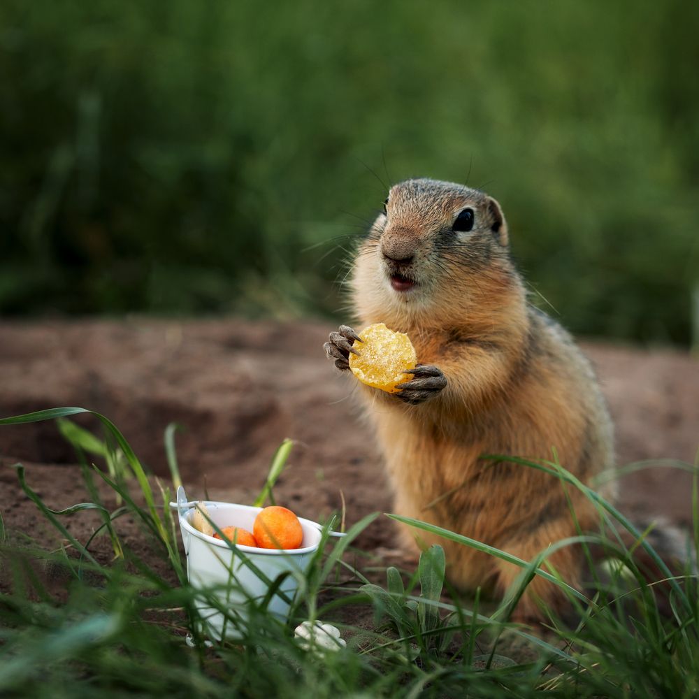 Photograph by Олеся Козлова