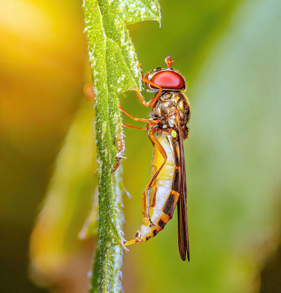 Photograph by Парфентьев Антон