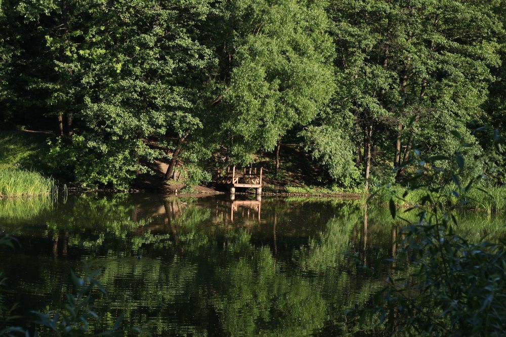 Photograph by Анжелика Медведева