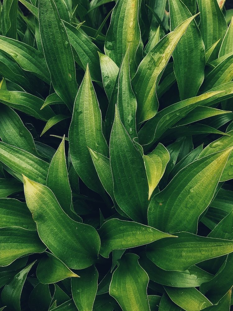 Photograph by Оксана Борисевич