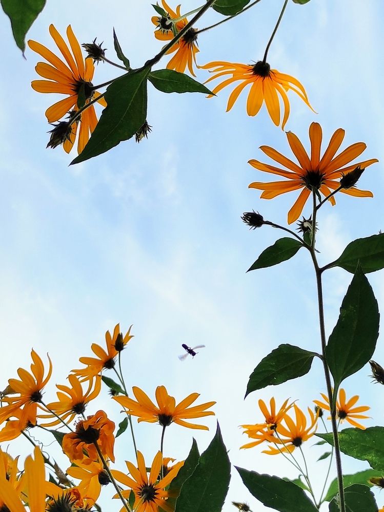 Photograph by Марина Хохрякова