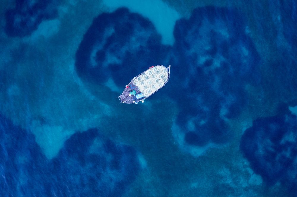 Photograph by Alexey Nikitin