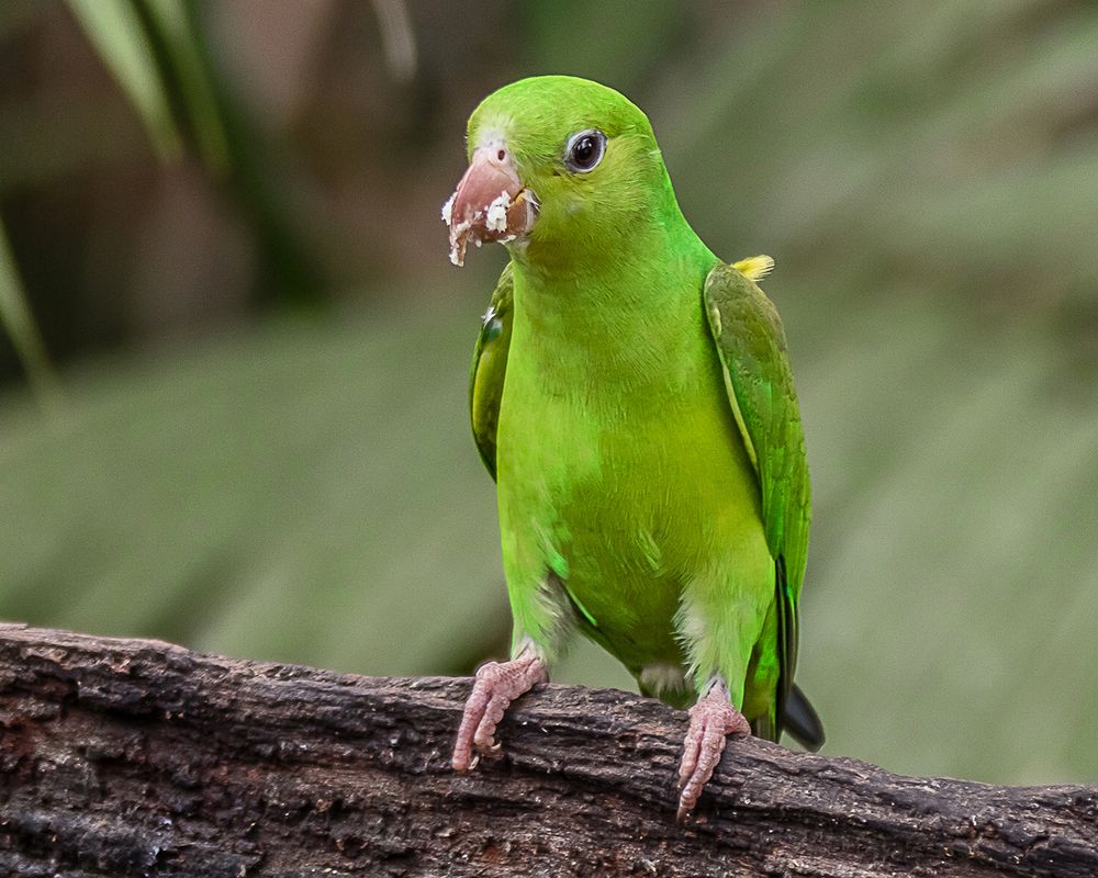 Photograph by Joao R Cortez