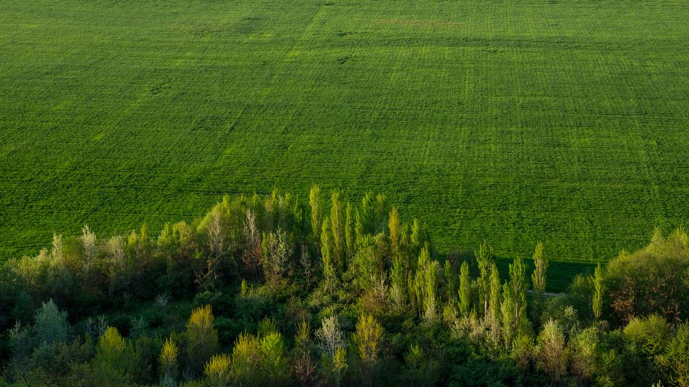 Photograph by Андрей Евтеев