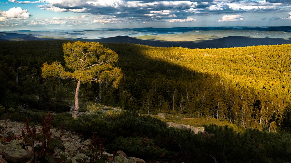 Photograph by Сергей Андреев