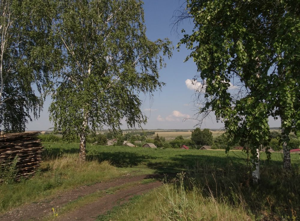 Зелёное лето