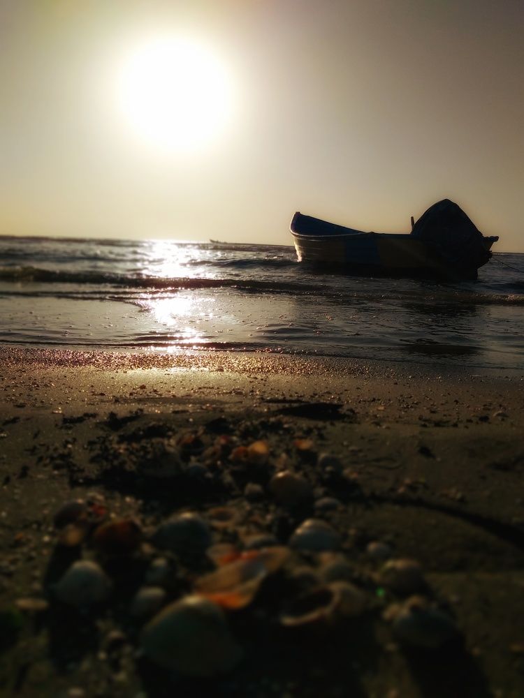 Sunrise