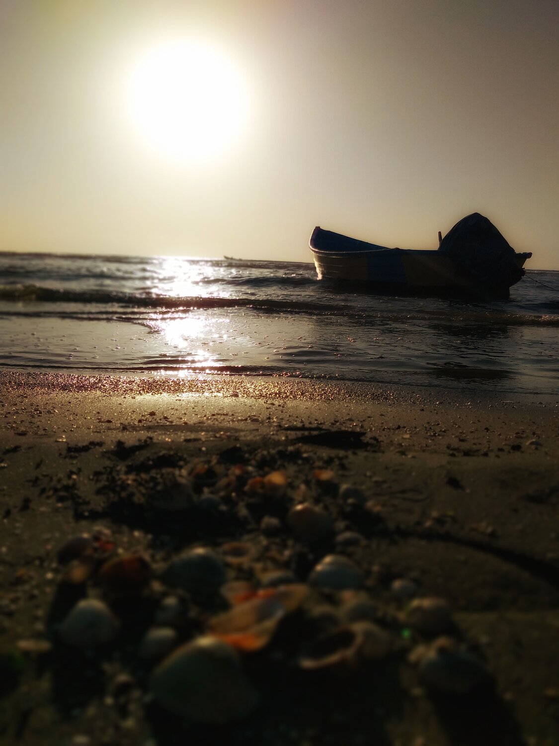 Sunrise
