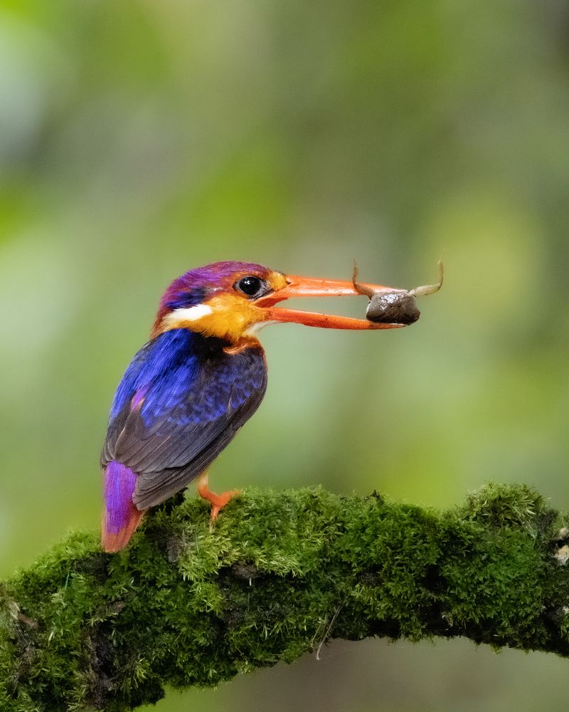 Photograph by ASHWINI BHONGE