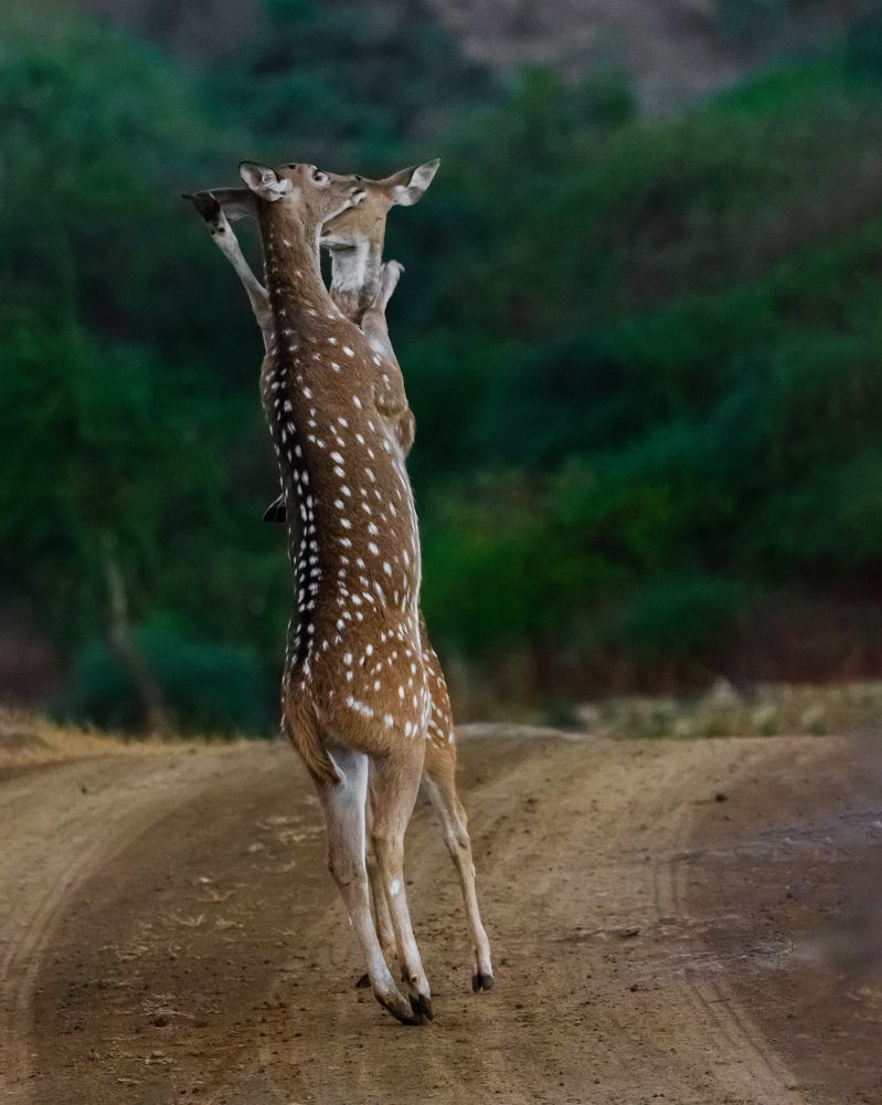 Фотография автора Sunny Vaghadia
