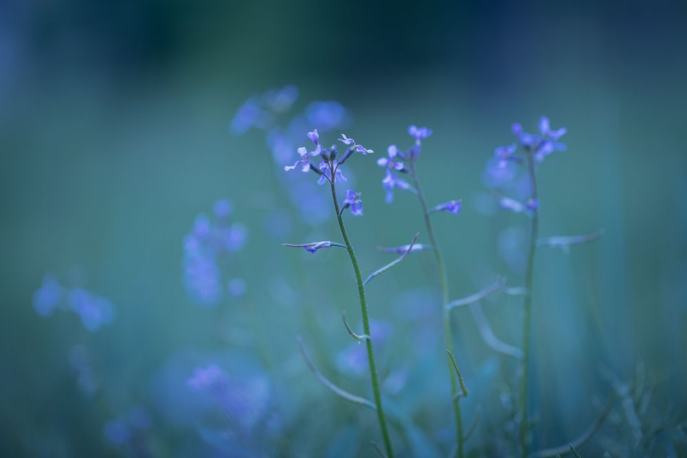 Photograph by Biryukova Anastasia