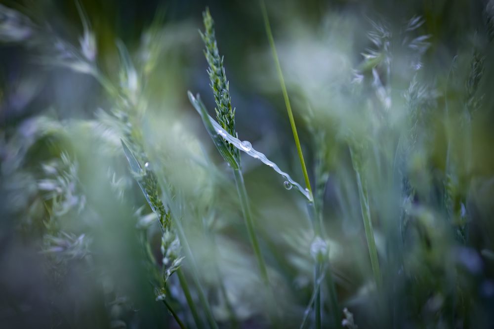 Photograph by Biryukova Anastasia