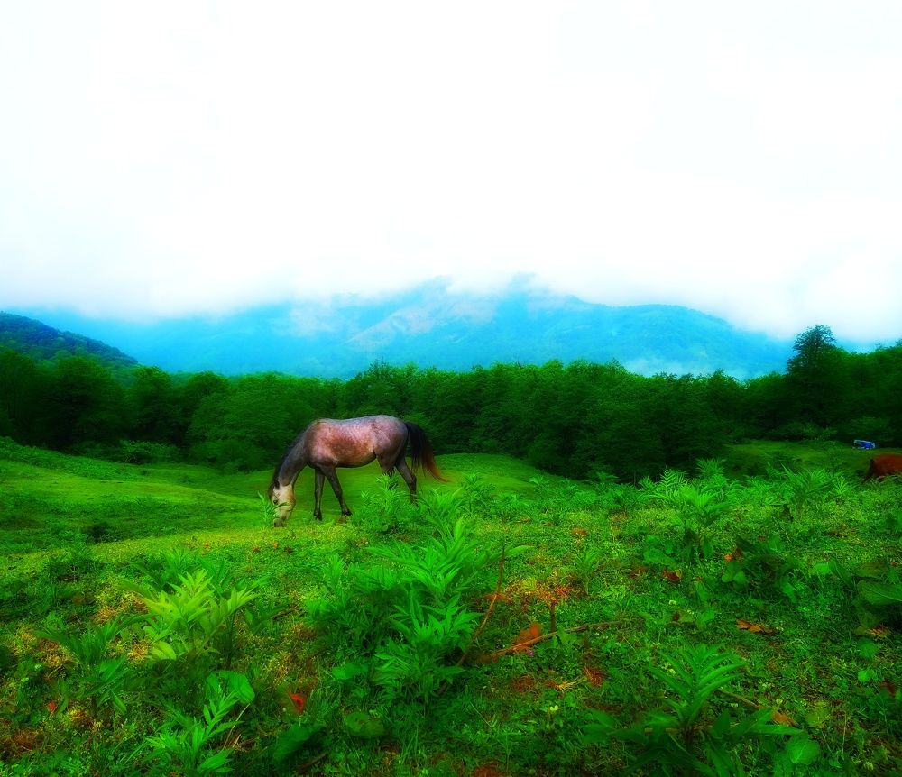 Show the green nature of life