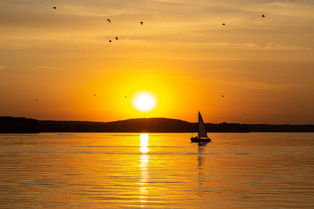 Фотография автора Ольга Войтехович