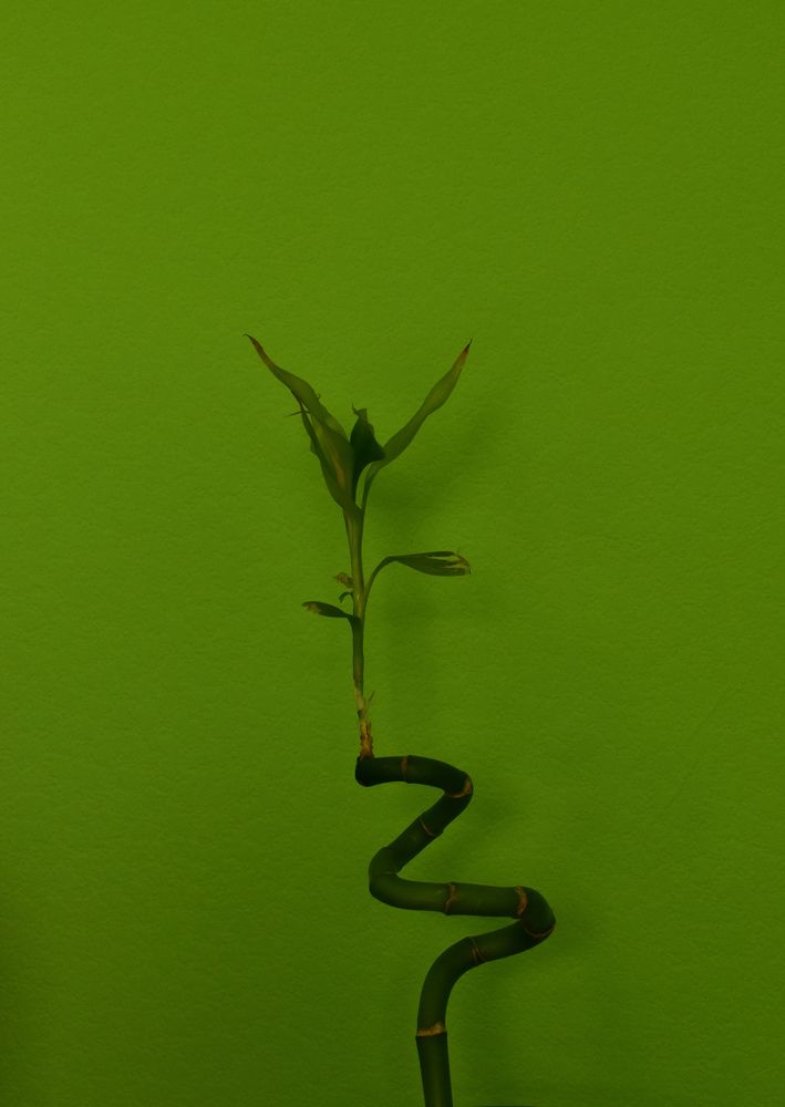 Photograph by Татьяна Носкович