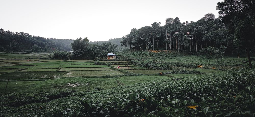 Photograph by Ratul Paul