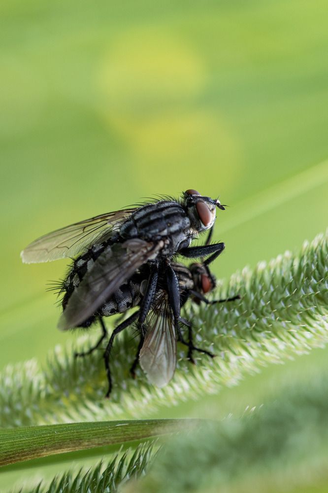 Photograph by Наталья