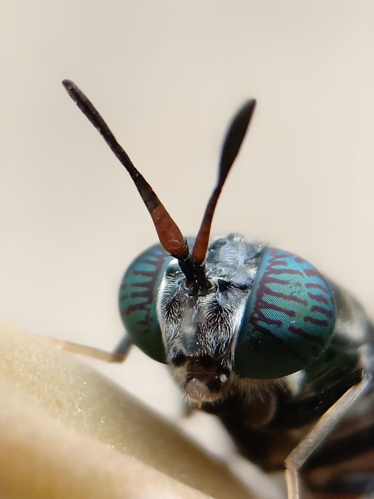 Photograph by B.Dhana sekaran