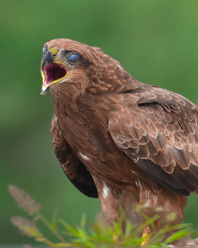 Фотография автора Sunny Vaghadia