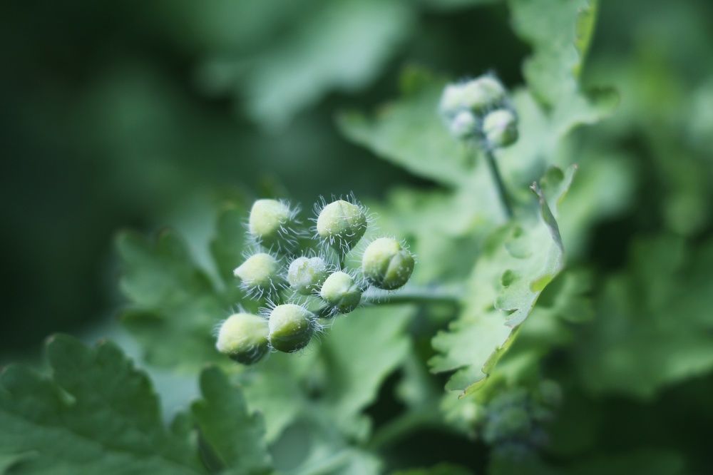 Photograph by Марина Савченко