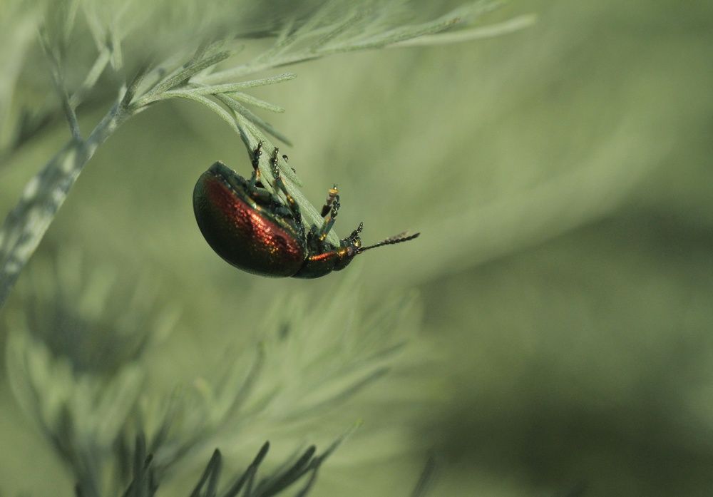 Photograph by Марина Савченко