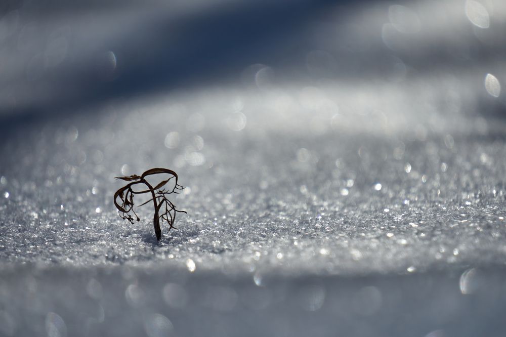 Фотография автора Игорь Игоревич