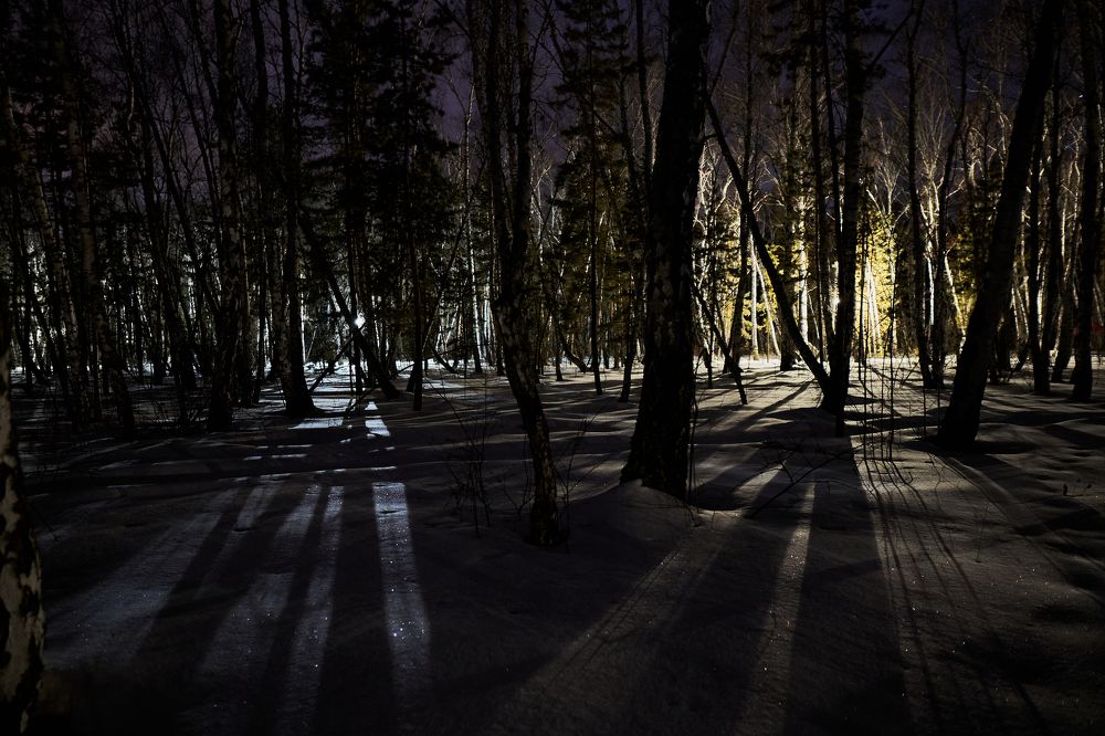 Фотография автора Игорь Игоревич