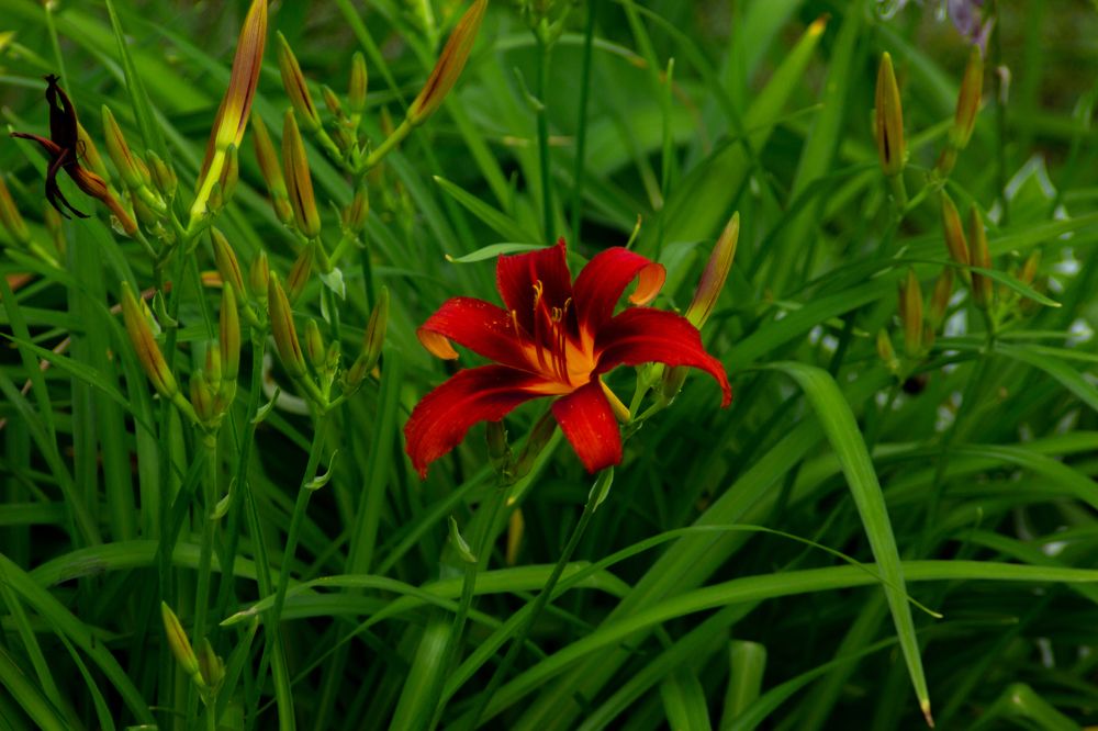 Photograph by Эльвира Халимулина