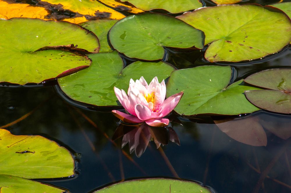 Photograph by Эльвира Халимулина