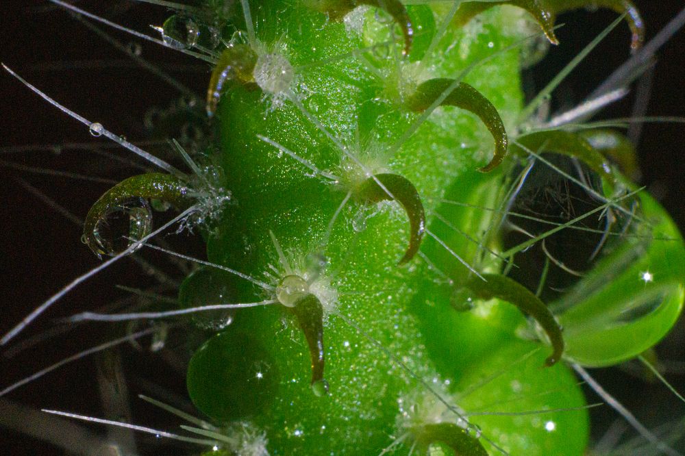 Photograph by Александр Ходакин