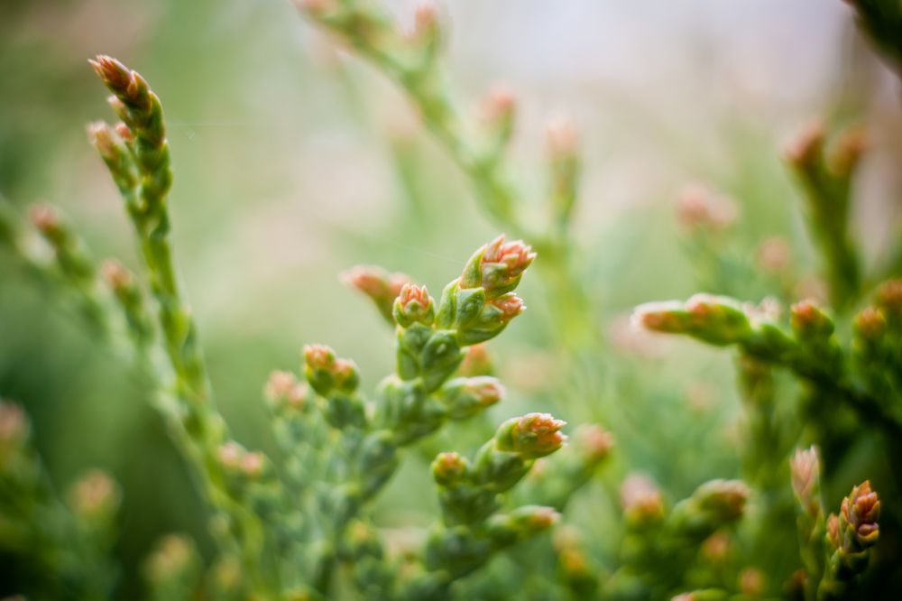 Photograph by Олег Терешкин