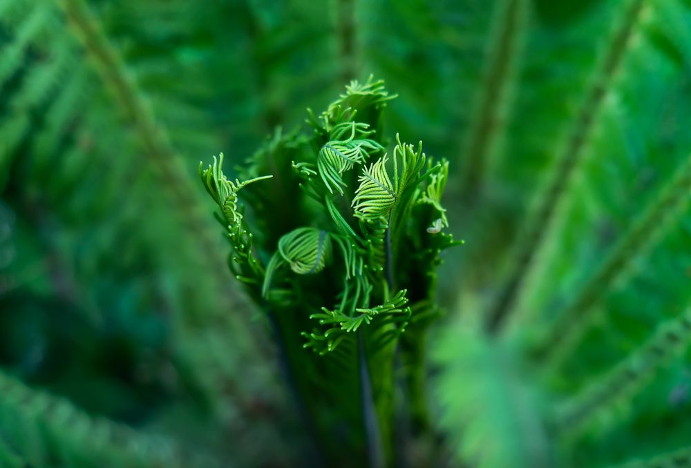 Photograph by Наталья Микулич