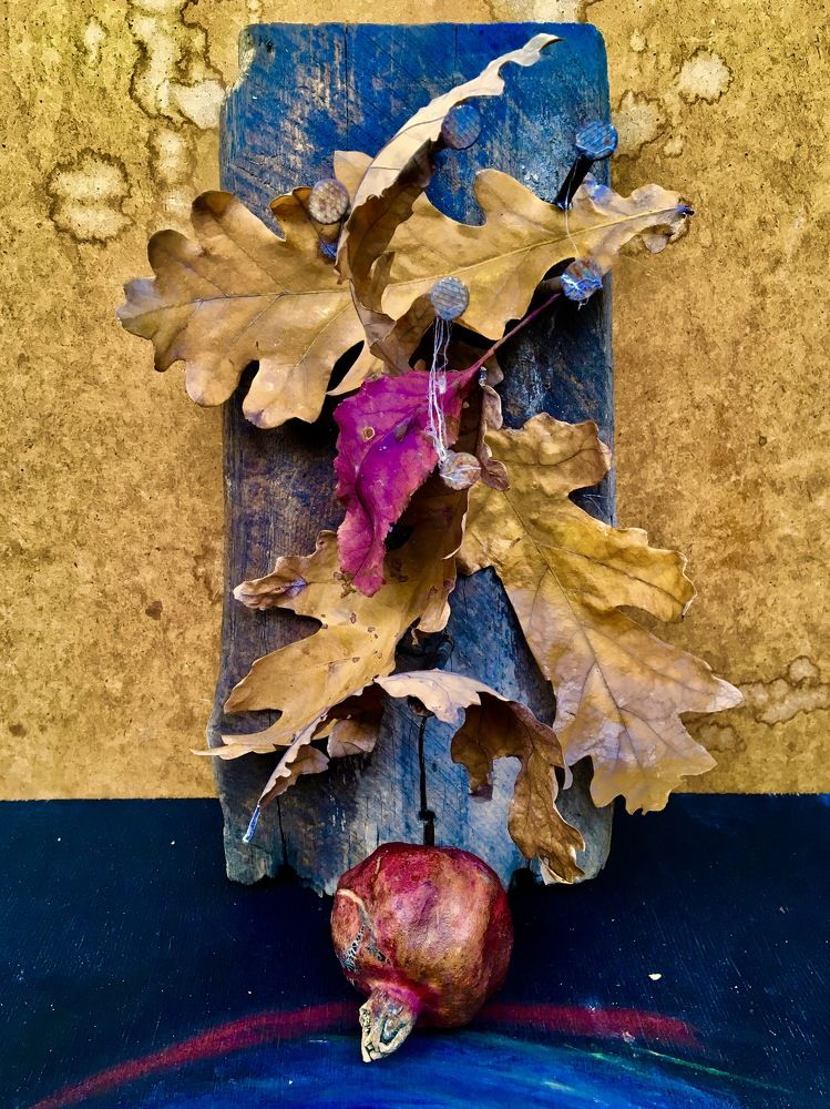 Photograph by Елена Ким