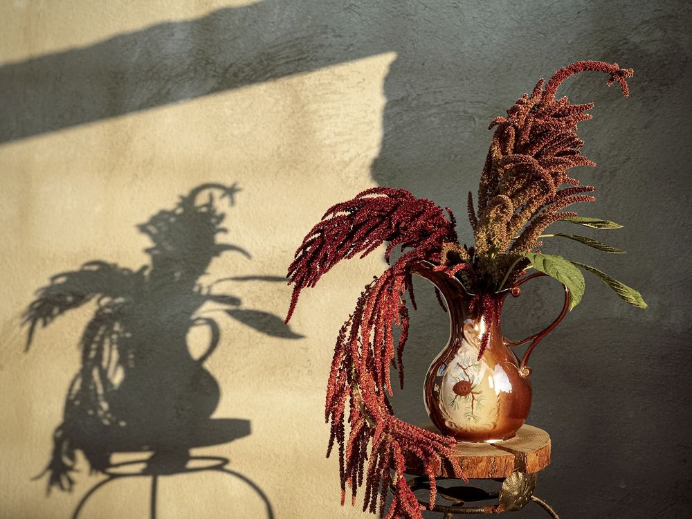 Photograph by Наталья Перерва