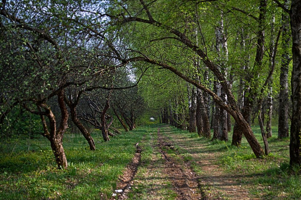 Photograph by Делана Романова
