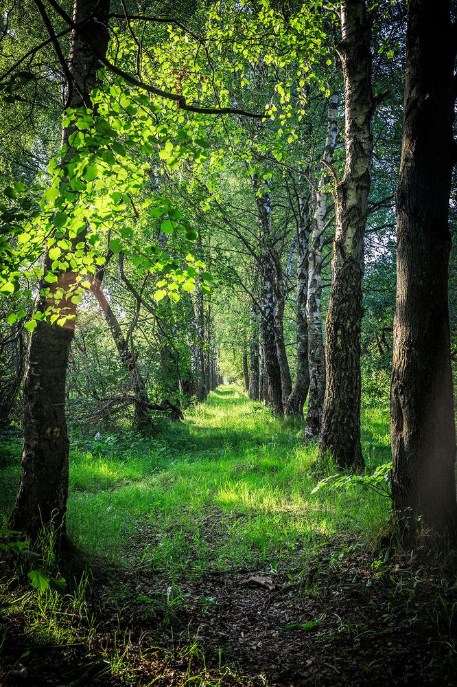 Photograph by Делана Романова